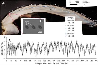 Seasonal SIMS δ18O record in Astarte borealis from the Baltic Sea tracks a modern regime shift in the NAO